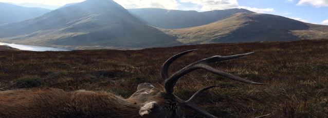 Jagdreisen Schottland